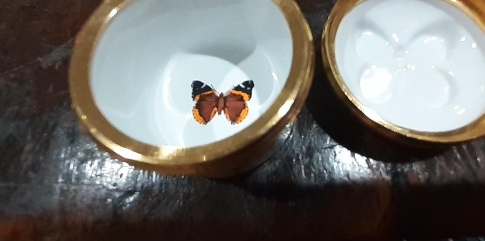 Halcyon Days Enamels England Pill Trinket Box Butterfly with Flowers - Picture 3 of 3